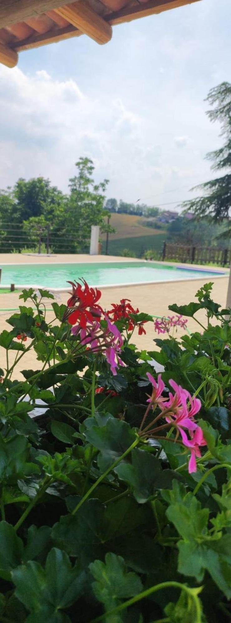 カザーレ・モンフェッラートCascina Pelizzaアパートメント エクステリア 写真
